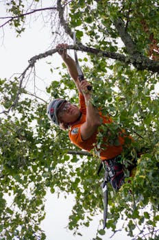commercial-plumbing Arborist in action using safety gear to prune trees outdoors in Lepaa, Finland.